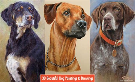 Dogs and wolves, and their anatomy. 30 Beautiful Dog Drawings and Art works from top artists