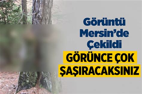 Günlük, www.havadurumu15gunluk.xyz web sitesi olarak bu sayfada meteoroloji hava durumu 15 günlük mersin çamlıyayla tahmin raporlarını sunmaktadır. Mersin'de Görenleri Şaşırtan Görüntü! Çamlıyayla İlçesi ...