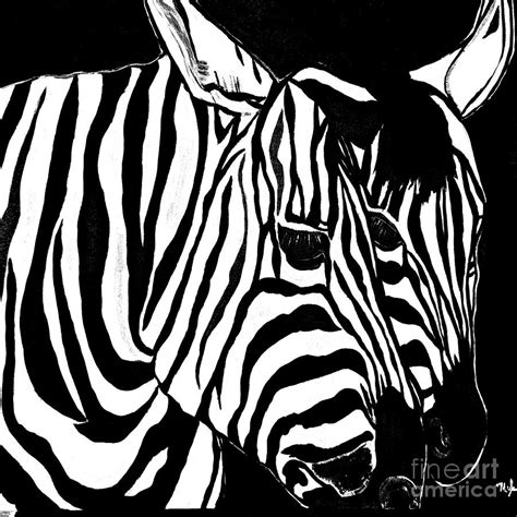 Zebra Couple Black And White Painting By Saundra Myles Fine Art America