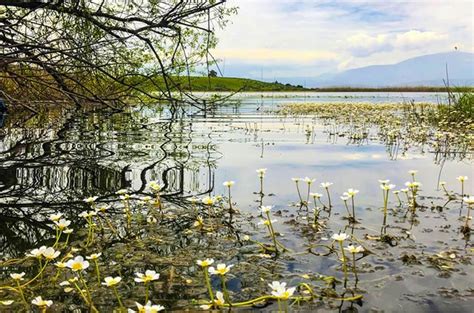 Edremit teki sulak alan yapılaşmaya açılıyor mu