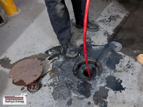 5 Reasons Why To Use Professional Drain Cleaning Services Roofing Surrey