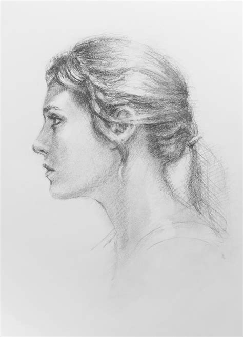 Study In Profile Drawing By Sarah Parks