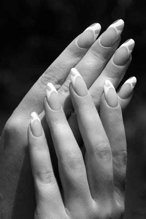 Beautiful Hands And Nails Stock Photo Image Of Elegant 20878240