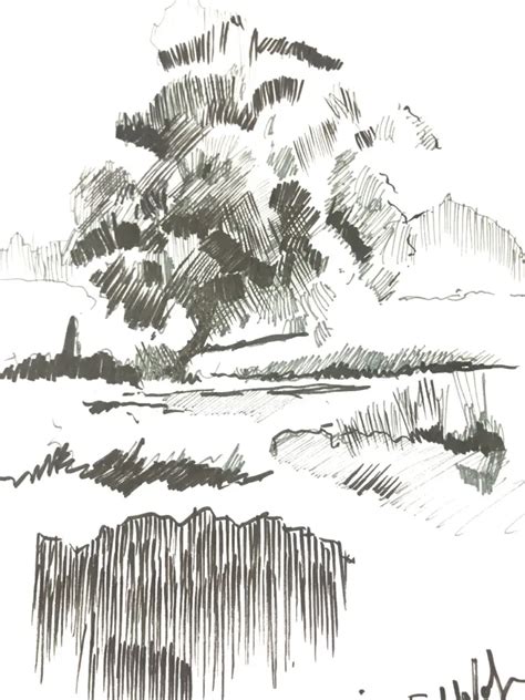 How To Draw Landscapes In Pen And Ink Improve Drawing