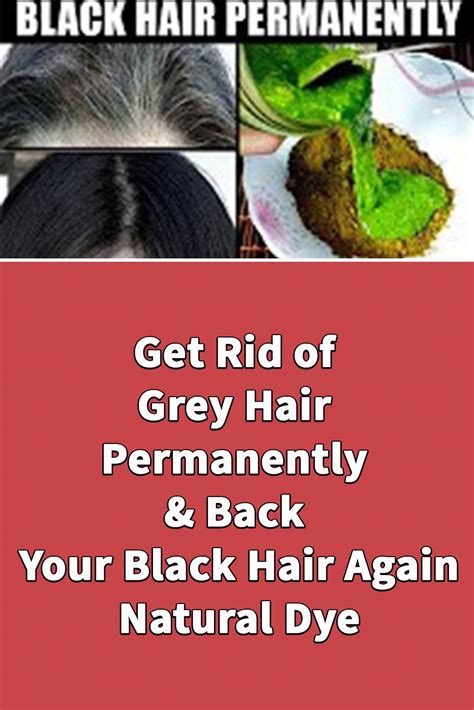 Get Rid Of Premature Grey Hair Permanently Back Your Black Hair Again