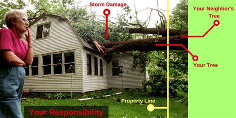 Tree Care And Property Lines Part One Crossing The Line