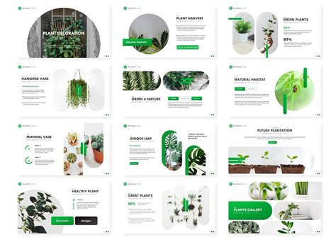 Plant Powerpoint Template By Aqr Studio On Creativemarket In 2020