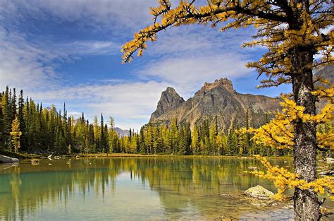 Hd Wallpaper Forest Lake Mountains Nature Landscape Fall Trees