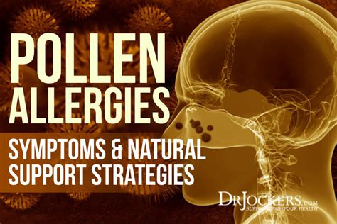 Pollen Allergies Symptoms And Natural Support Strategies