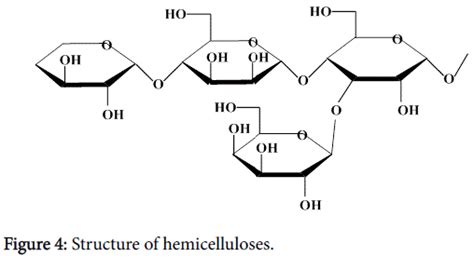 Hemicellulose Structure