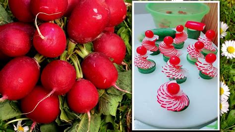 Attractive Garnish Of Radish Fruit Vegetable Carving Garnish