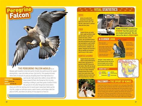 Buy National Geographic Kids Bird Guide Of North America Second