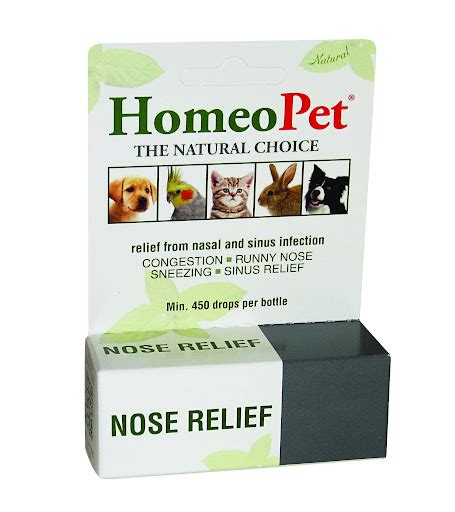 Dog Nasal Polyps Natural Treatment For Sale 2023 Update Almost Home