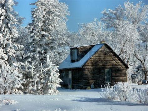 We did not find results for: Snowy mountain cabin retreat | Cabins, Sheds and Outhouses ...