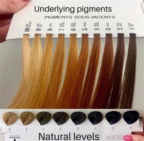 From Blonde To Brunette Explaining The Journey To A Client Color Modern Salon Wella T