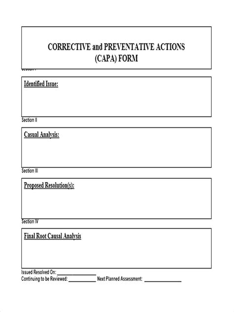 Sample Corrective Action Plan The Document Template