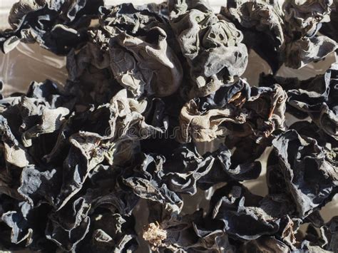 Chinese Black Fungus Auricularia Auricula Judae Mushroom Veget Stock