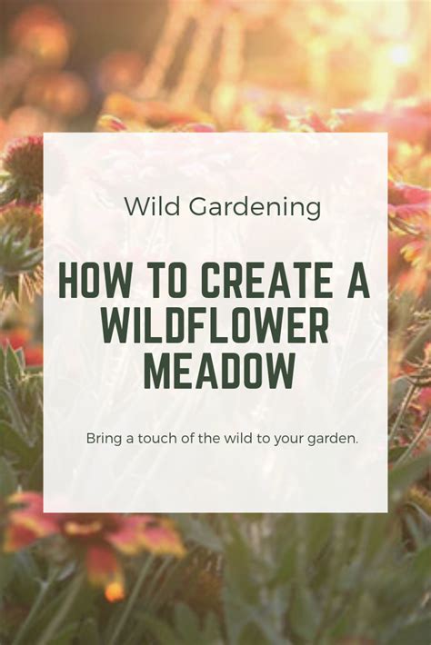 Gardening How To Create A Wildflower Meadow In The Garden David