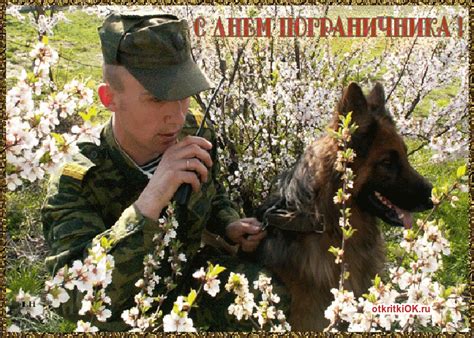 Прикольные картинки и открытки с днем пограничника. День пограничника фото | Открытки и картинки бесплатно