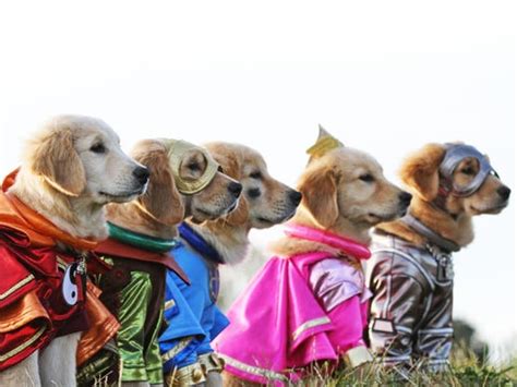 Superhero Puppies In Super Buddies Exclusive Clip