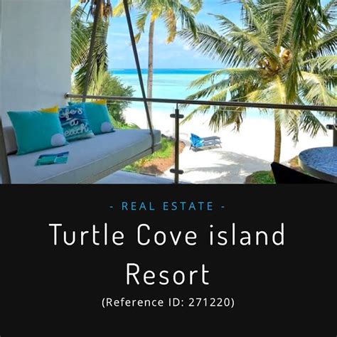 Turtle Cove Island Resort Marine Sea Turtle Sanctuary