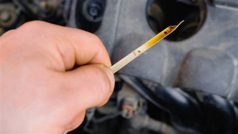 How To Read Oil Dipstick Rx Mechanic