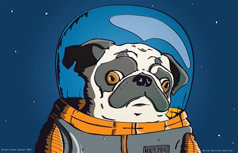 Space Pug On Behance