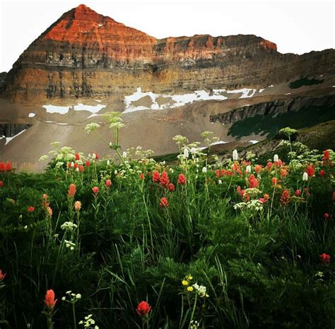 Mount Timpanogos Utah Natural Landmarks Favorite Places Landmarks