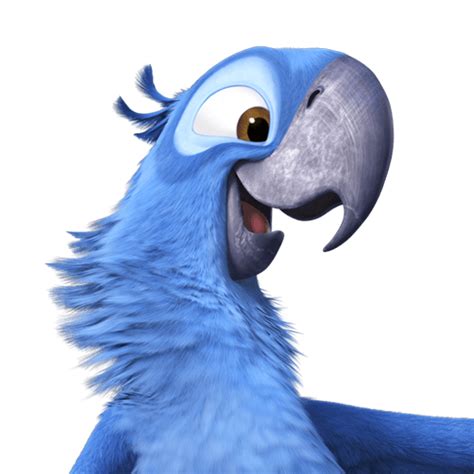 Rio Bird Png Photos Png All Png All