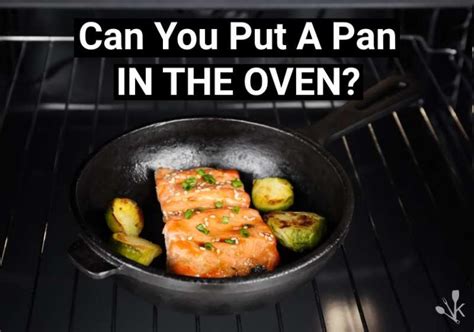 Can You Put A Pan In The Oven Kitchensanity