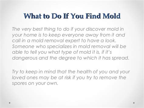 How To Tell If You Have A Mold Problem