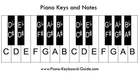 Piano Diagram Beginner Piano Keys Labeled Beginner Piano Piano Notes