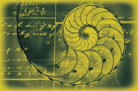 The Artistic Beauty Of Mathematics The Art Of Maths