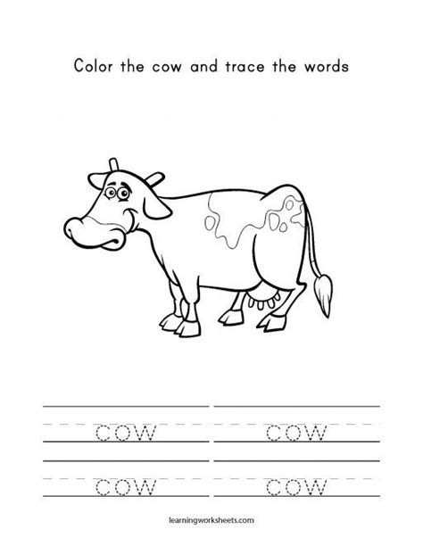 Color The Cow And Trace The Words Learning Worksheets Tracing