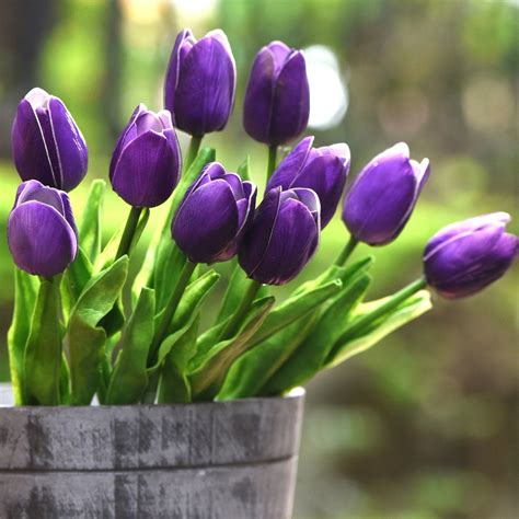 Fiveseasonstuff 10 Stems Of Purple Real Touch Tulip Etsy