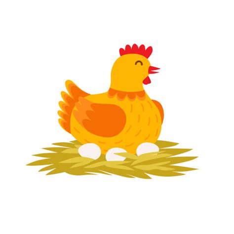 Clipart Hen Laying Eggs Best Free Library