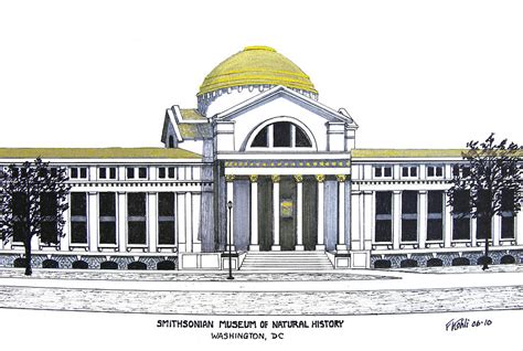Smithsonian Museum Of Natural History Drawing By Frederic Kohli Pixels