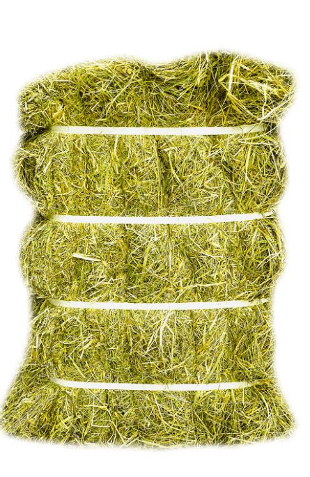 Bagged Pure Hay Meadow Hay For Sale