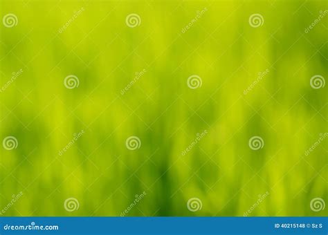 Blurred Green Grass Background Stock Photo Image Of Springtime Scene