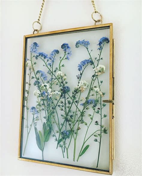 Framed pressed flowers. Forget me nots. | Pressed flowers diy, Pressed flowers, Pressed flower art