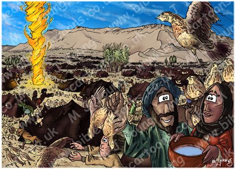 Bible Cartoons Exodus 16 Manna And Quail Scene 04 Quail