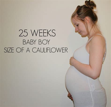 25 Weeks Pregnant Bump Plus Size 314811 How Big Should My Bump Be At 25 Weeks Pregnant