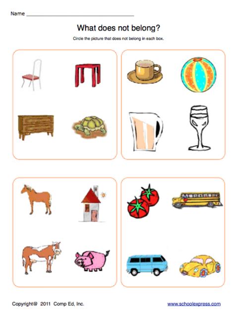 School Express Classification Worksheet Education World