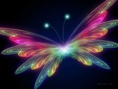 Wnp Wallpapers And Pictures Rainbow Butterfly