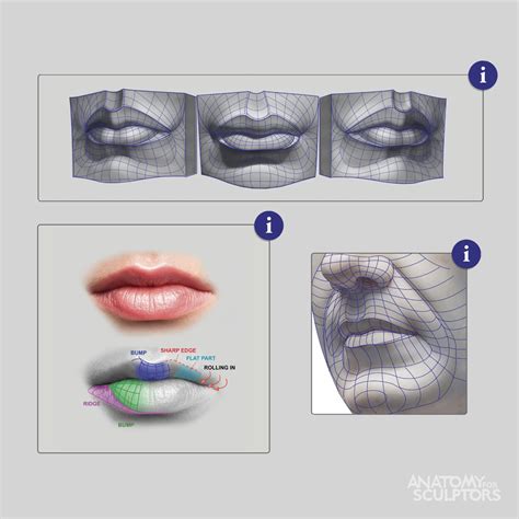 The very first thing the eye looks for, in any setting, is the human face, and this applies also to art: Pin on Anatomie - Références