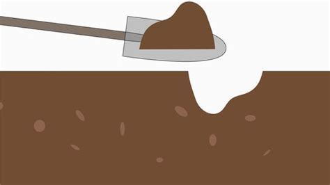 What causes a lumpy lawn? Level a Bumpy Lawn | Lawn repair, Leveling yard, Lawn
