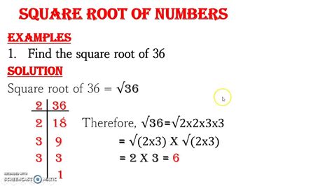 Square Root Of Numbers Youtube