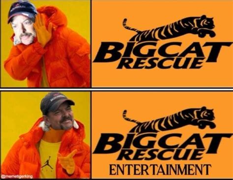 Sex Drugs And Big Cats Here Are All The Best Tiger King Memes Film Daily