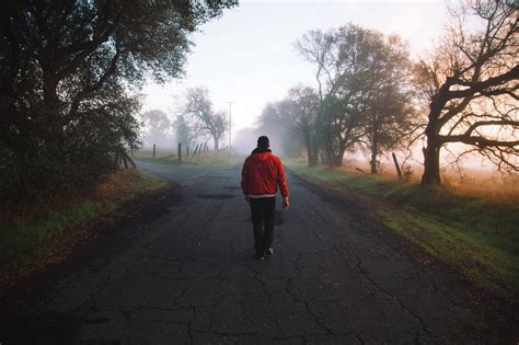 Wallpaper Id 221944 Walking Alone Down A Foggy Country Road Long