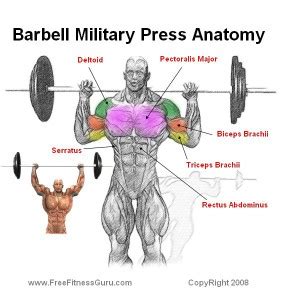 In general, the muscles used for bench press are the pecs, shoulders, and triceps. Overhead Press Variations - Wrestler-Power.com